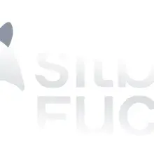 silberFUCHS Logo